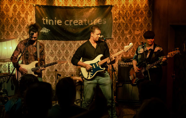 Tinie Creatures